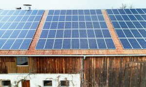photovoltaik freiflächenanlage kaufen