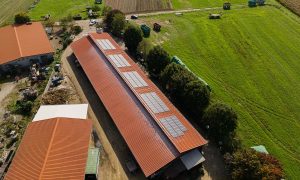 Dach vermieten Solar