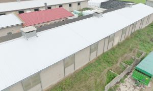 Dachfläche vermieten photovoltaik preise