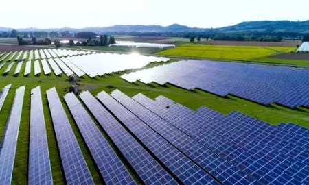 Land-verpachten-für-Solar